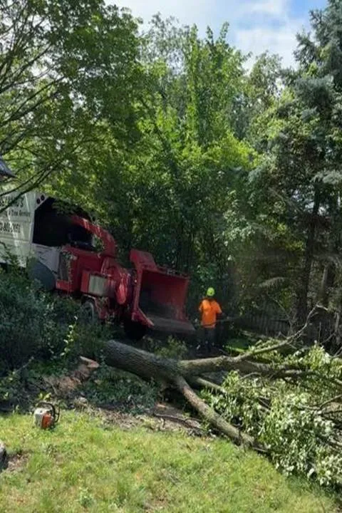 Affordable outdoor landscaping for residential properties across Berwyn, IL - Serrano's Landscaping & Tree Services