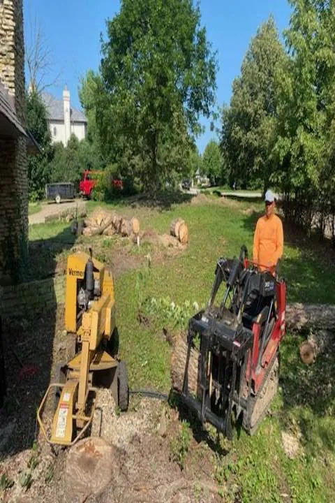 Custom landscape installation experts serving Berwyn, IL - Serrano's Landscaping & Tree Services