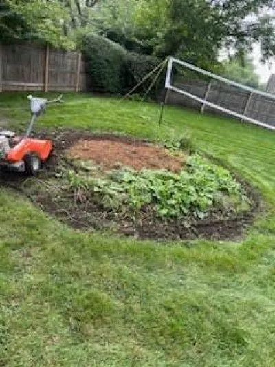 Affordable yard maintenance near you across Berwyn, IL - Serrano's Landscaping & Tree Services