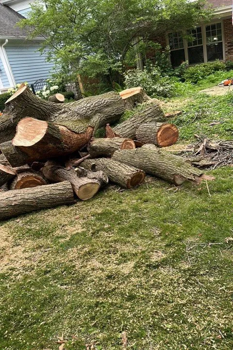 Local yard maintenance experts serving Berwyn, IL - Serrano's Landscaping & Tree Services