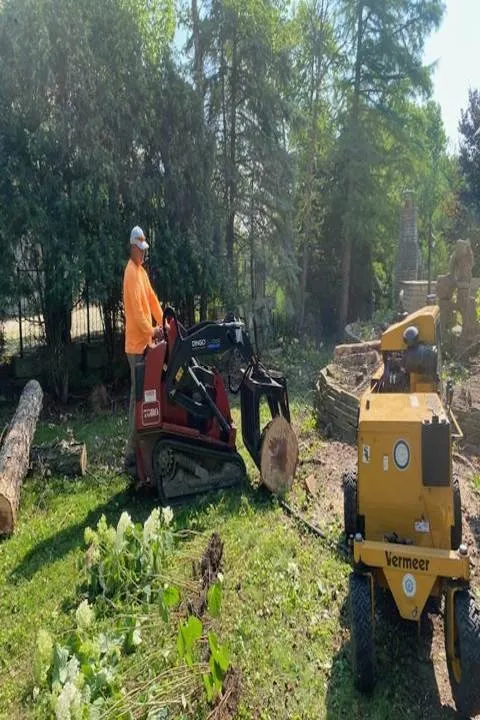 Top-rated landscape installation for year-round maintenance in Berwyn, IL by Serrano's Landscaping & Tree Services