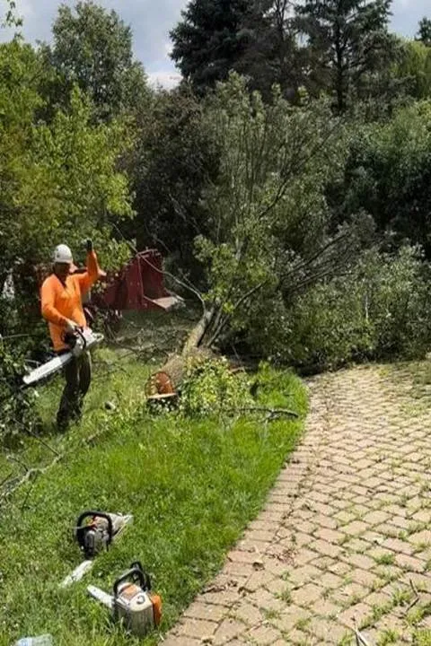 Reliable landscaping services in Berwyn, IL - Serrano's Landscaping & Tree Services