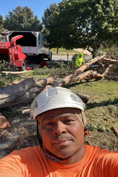 Local lawn care service with custom design across Berwyn, IL - Serrano's Landscaping & Tree Services