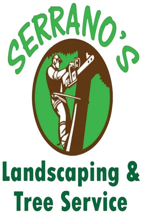 Local landscaping services with custom design across Berwyn, IL - Serrano's Landscaping & Tree Services