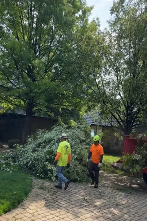 Professional landscaping services experts serving Berwyn, IL - Serrano's Landscaping & Tree Services