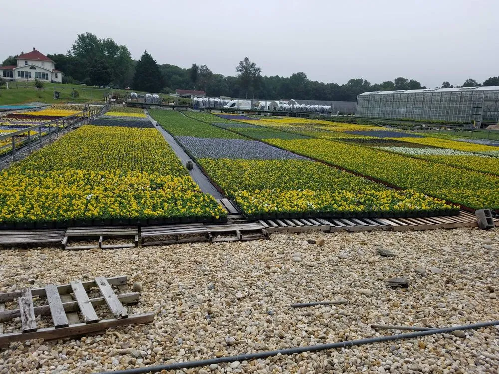 Professional landscape installation with custom design across Temple Hills, MD - Serrano’s Landscaping