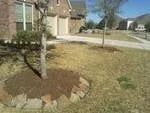 Professional landscaping services experts serving Alvin, TX - Serranos' Lawn Service