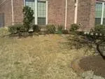 Top-rated landscape design in Alvin, TX by Serranos' Lawn Service