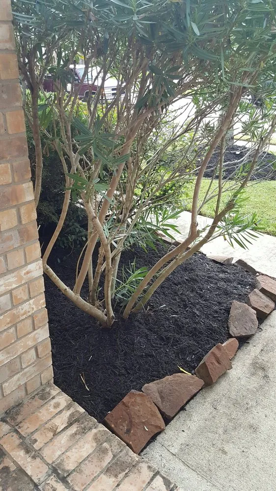 Custom residential landscaping for residential properties in Alvin, TX by Serranos' Lawn Service