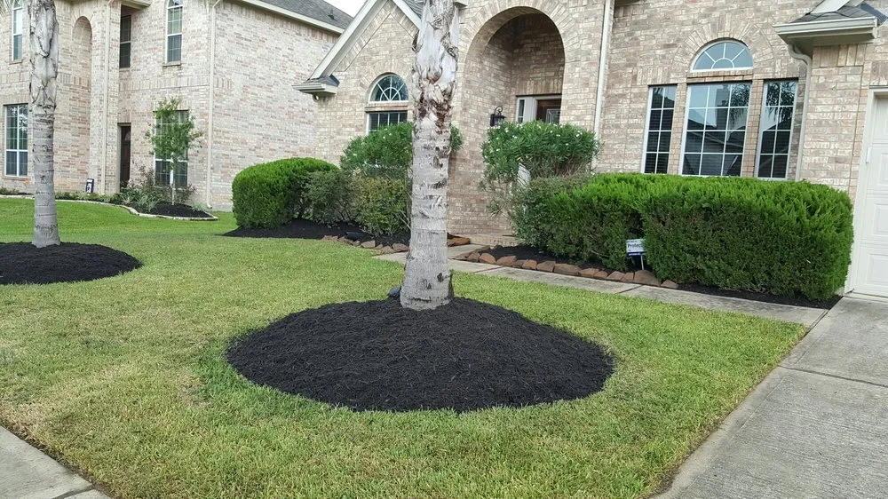 Reliable yard cleanup service in Alvin, TX by Serranos' Lawn Service