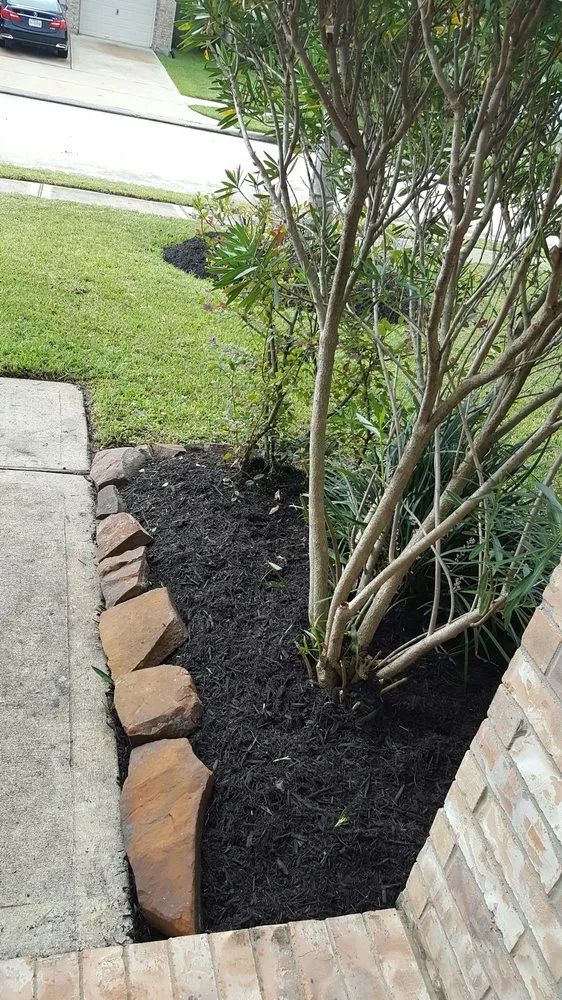 Custom landscape design experts serving Alvin, TX - Serranos' Lawn Service