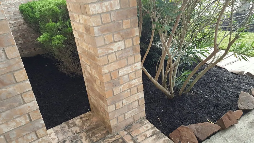 Custom yard maintenance experts serving Alvin, TX - Serranos' Lawn Service