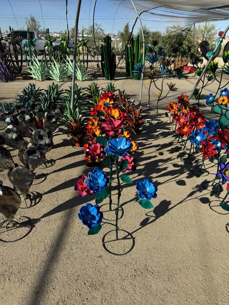 Professional residential landscaping with custom design across Lake Havasu City, AZ - Serrano's Nursery