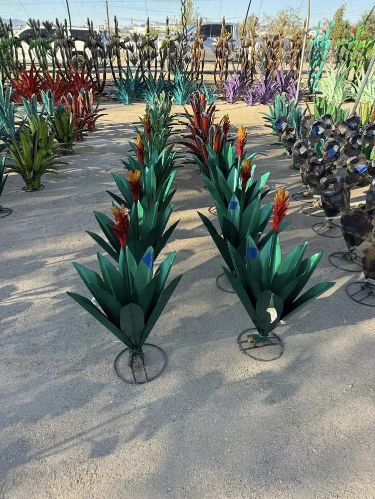 Expert landscape installation for residential properties across Lake Havasu City, AZ - Serrano's Nursery