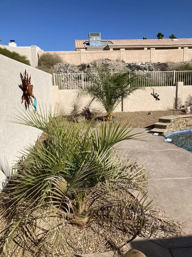 Reliable landscaping services in Lake Havasu City, AZ by Serrano's Nursery
