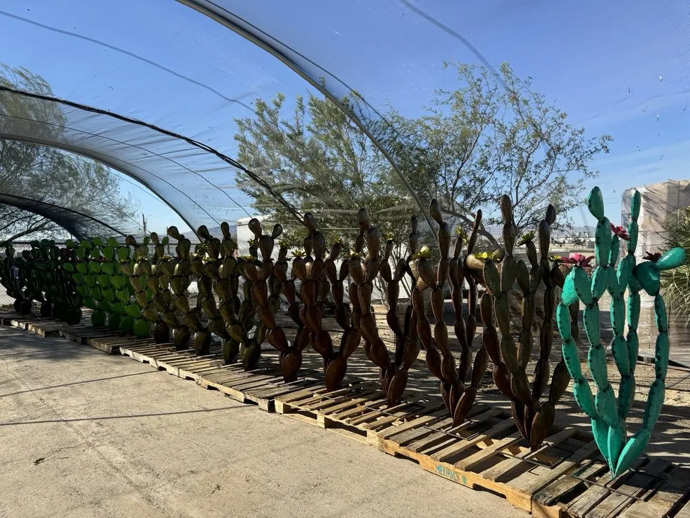 Reliable landscape installation in Lake Havasu City, AZ by Serrano's Nursery