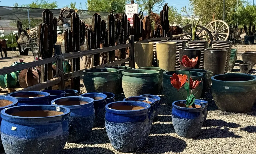 Reliable yard cleanup service in Lake Havasu City, AZ by Serrano's Nursery