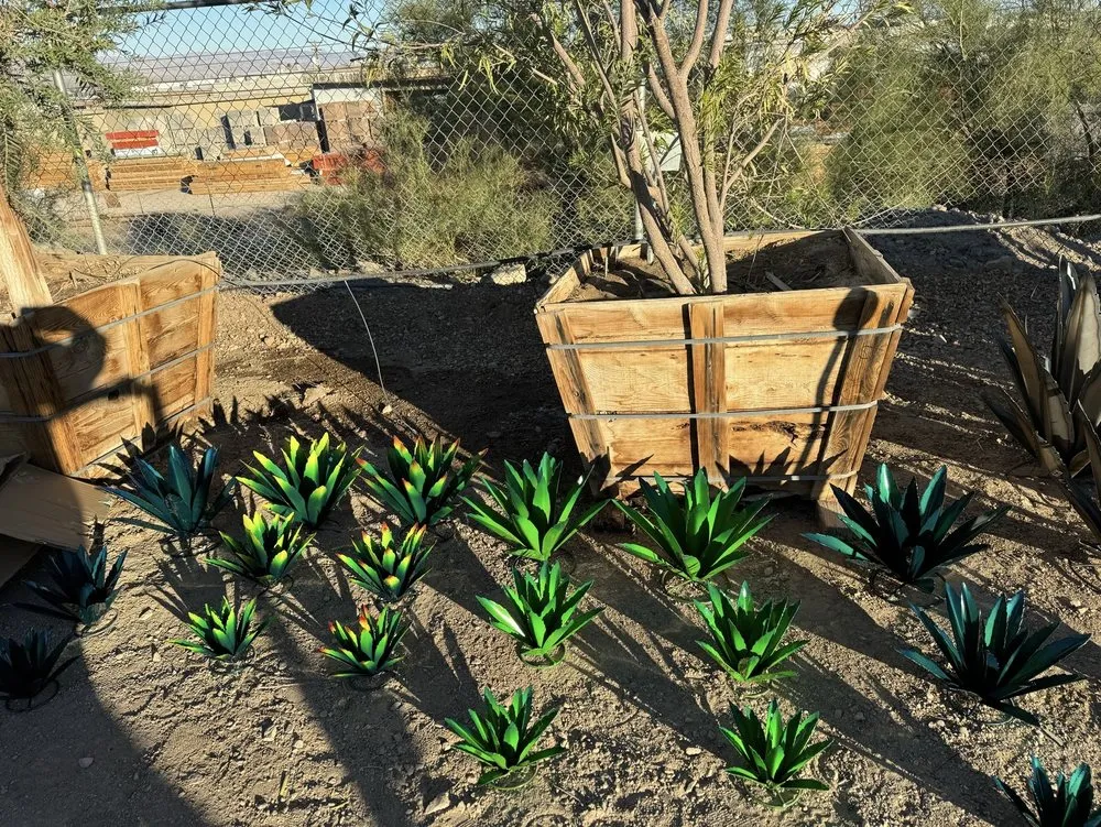 Trusted yard maintenance in Lake Havasu City, AZ - Serrano's Nursery