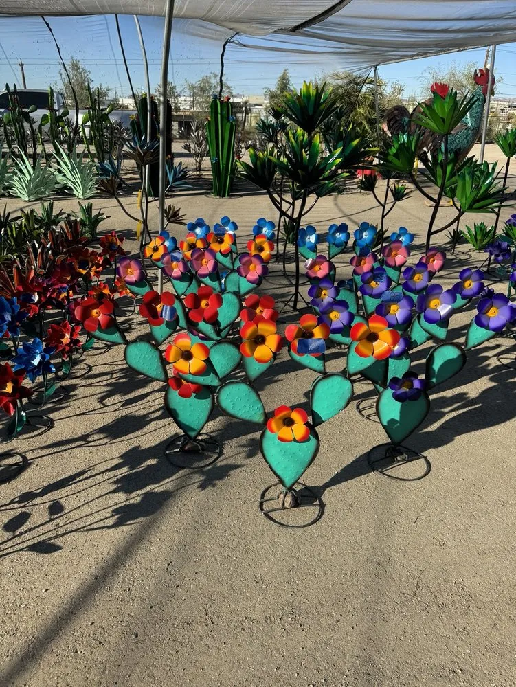 Expert yard maintenance in Lake Havasu City, AZ by Serrano's Nursery