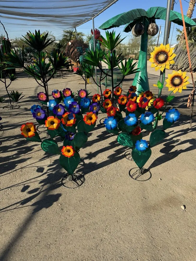 Expert landscape installation for residential properties in Lake Havasu City, AZ by Serrano's Nursery