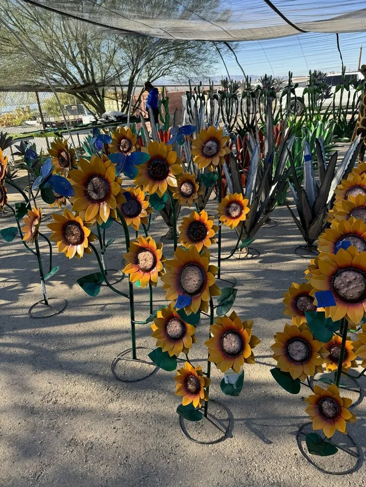 Reliable residential landscaping in Lake Havasu City, AZ - Serrano's Nursery