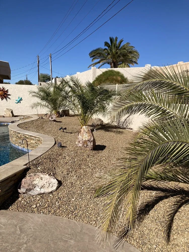 Reliable lawn care service for year-round maintenance across Lake Havasu City, AZ - Serrano's Nursery
