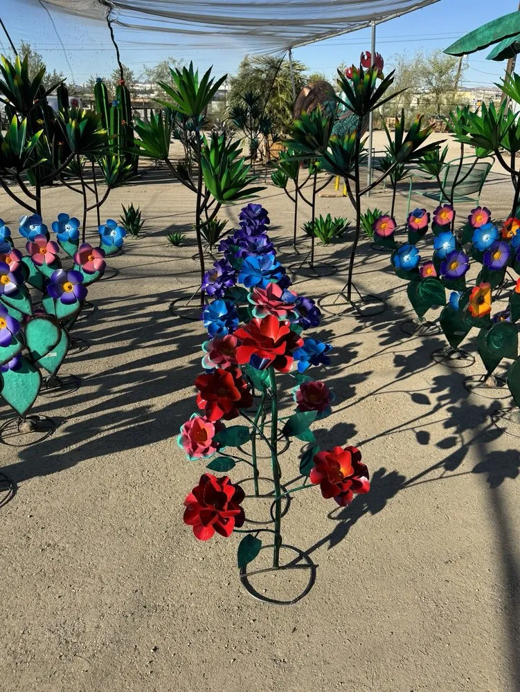 Trusted garden landscaping near you in Lake Havasu City, AZ by Serrano's Nursery