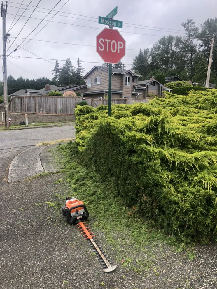 Expert residential landscaping in Bellingham, WA by Servando's Landscaping Services