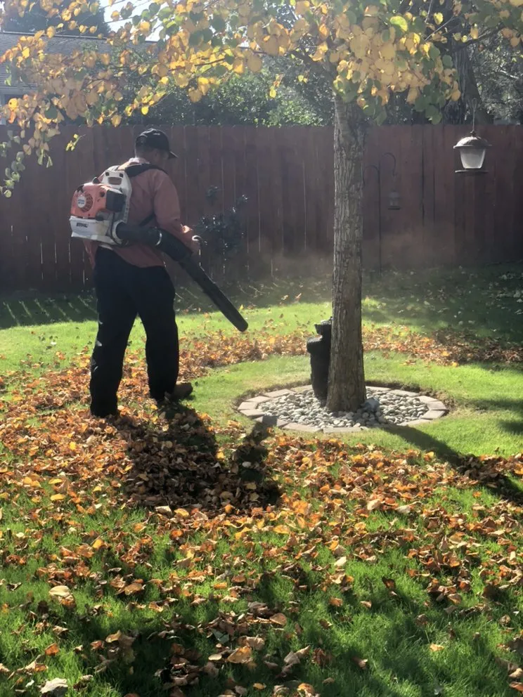 Affordable landscaping services for outdoor upgrades in Bellingham, WA by Servando's Landscaping Services