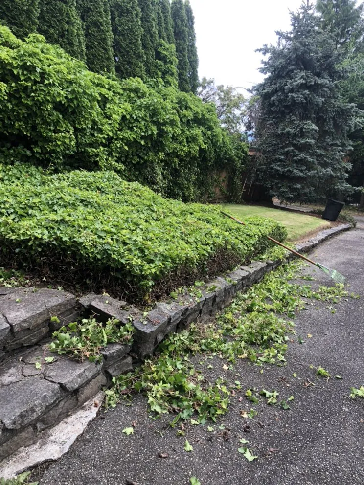 Reliable landscaping services near you in Bellingham, WA by Servando's Landscaping Services