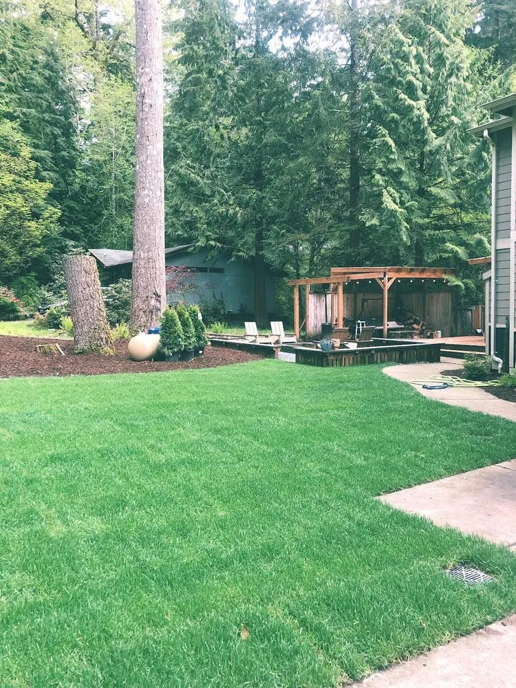 Reliable lawn care service in Bellingham, WA - Servando's Landscaping Services