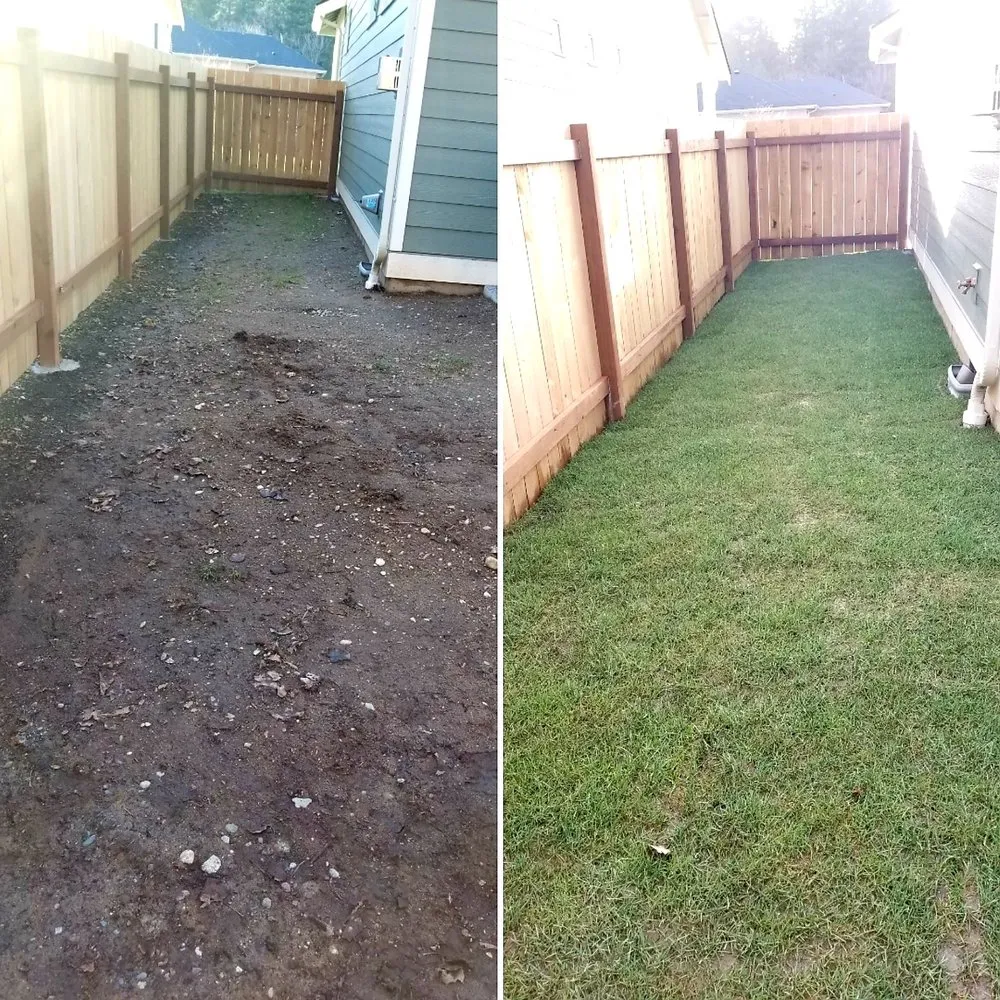 Expert lawn care service in Bellingham, WA - Servando's Landscaping Services