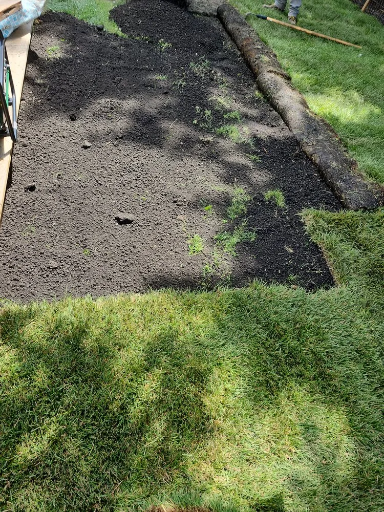 Affordable yard cleanup service in Shorewood, IL - Servando's landscaping