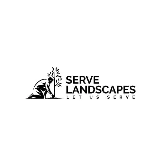 Reliable yard cleanup service near you in Indianapolis, IN by Serve Landscapes