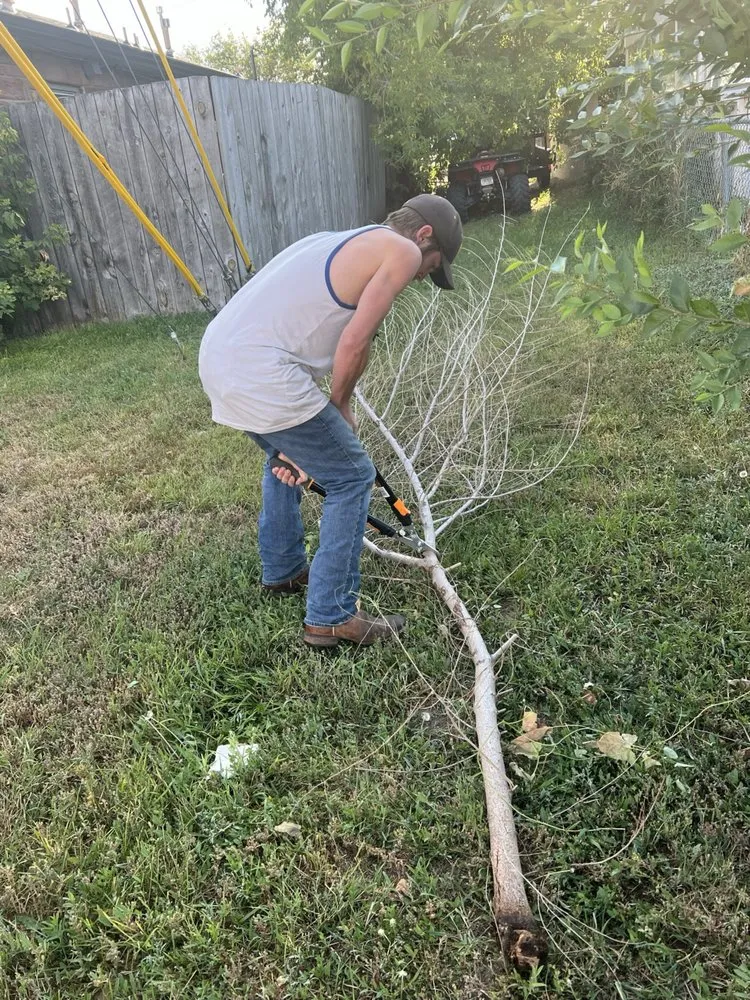 Trusted residential landscaping with custom design in Cheyenne, WY by Servi Alpha Lawn Care