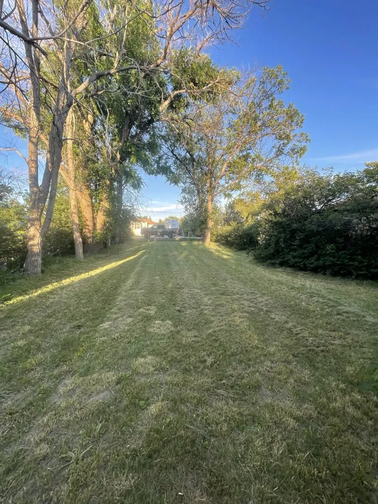 Custom landscaping services with custom design across Cheyenne, WY - Servi Alpha Lawn Care