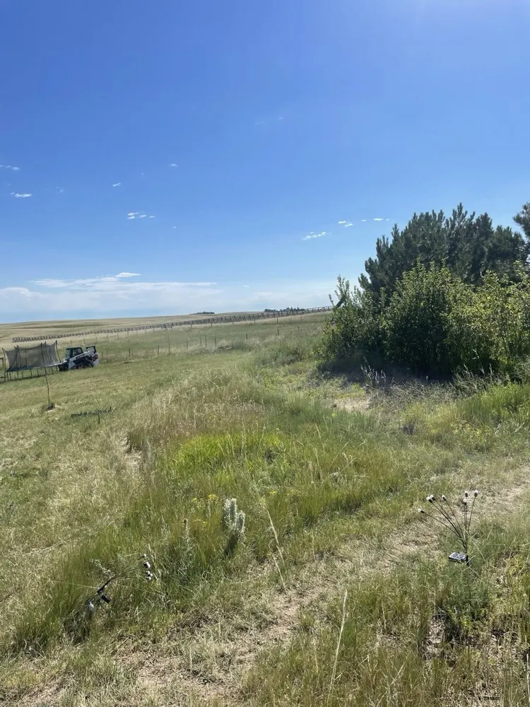 Local landscape design for outdoor upgrades in Cheyenne, WY by Servi Alpha Lawn Care