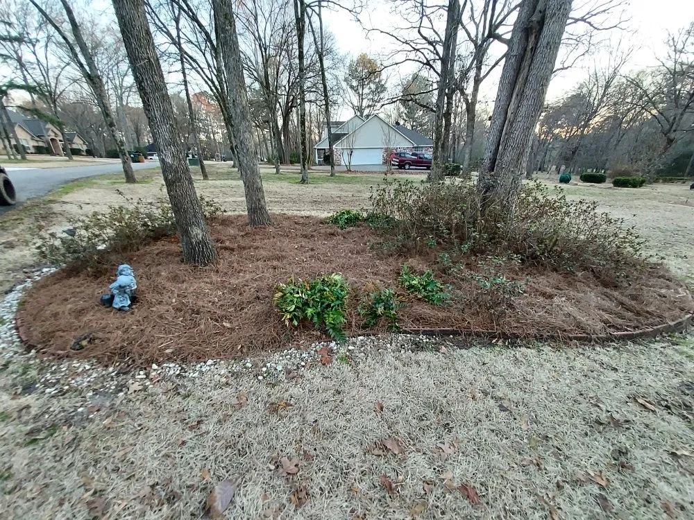 Professional lawn mowing service near you in Arp, TX by Service Done Right