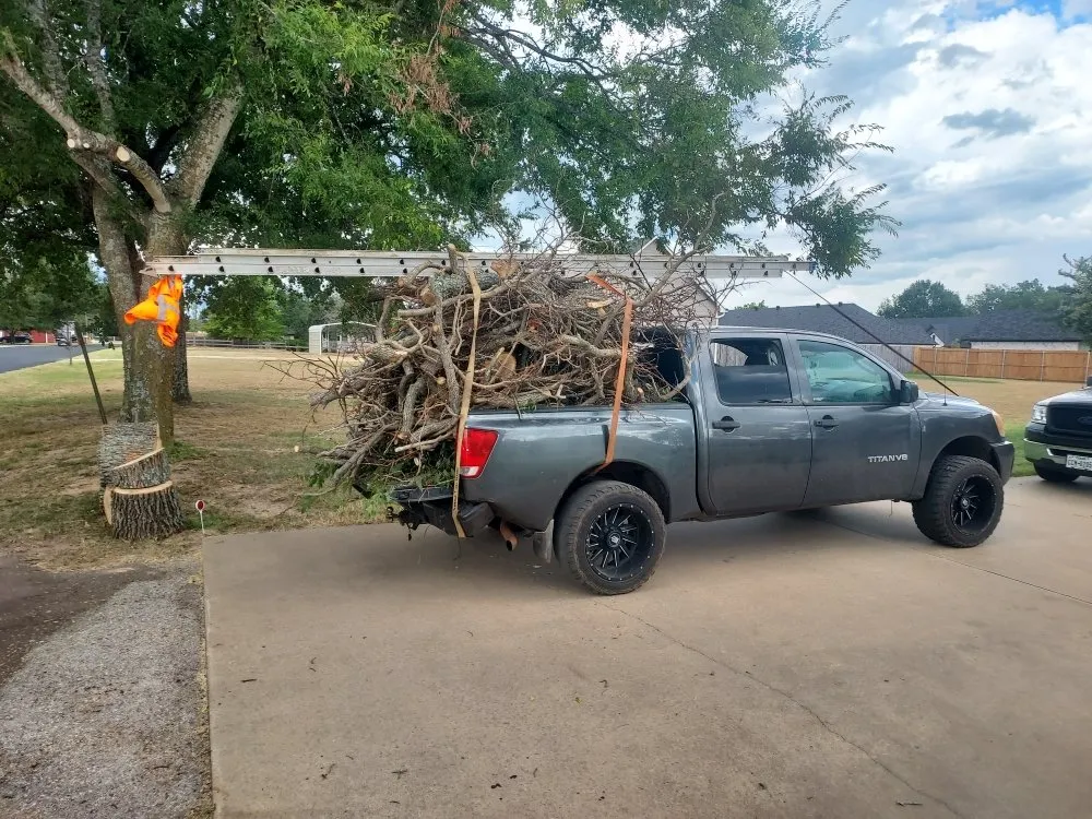 Professional yard maintenance in Arp, TX - Service Done Right