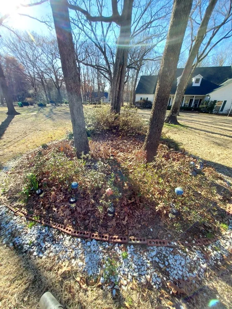 Reliable lawn mowing service experts serving Arp, TX - Service Done Right