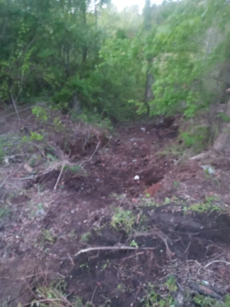 Custom residential landscaping for year-round maintenance across Arp, TX - Service Done Right