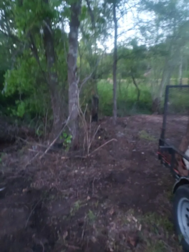 Professional lawn care service for residential properties across Arp, TX - Service Done Right