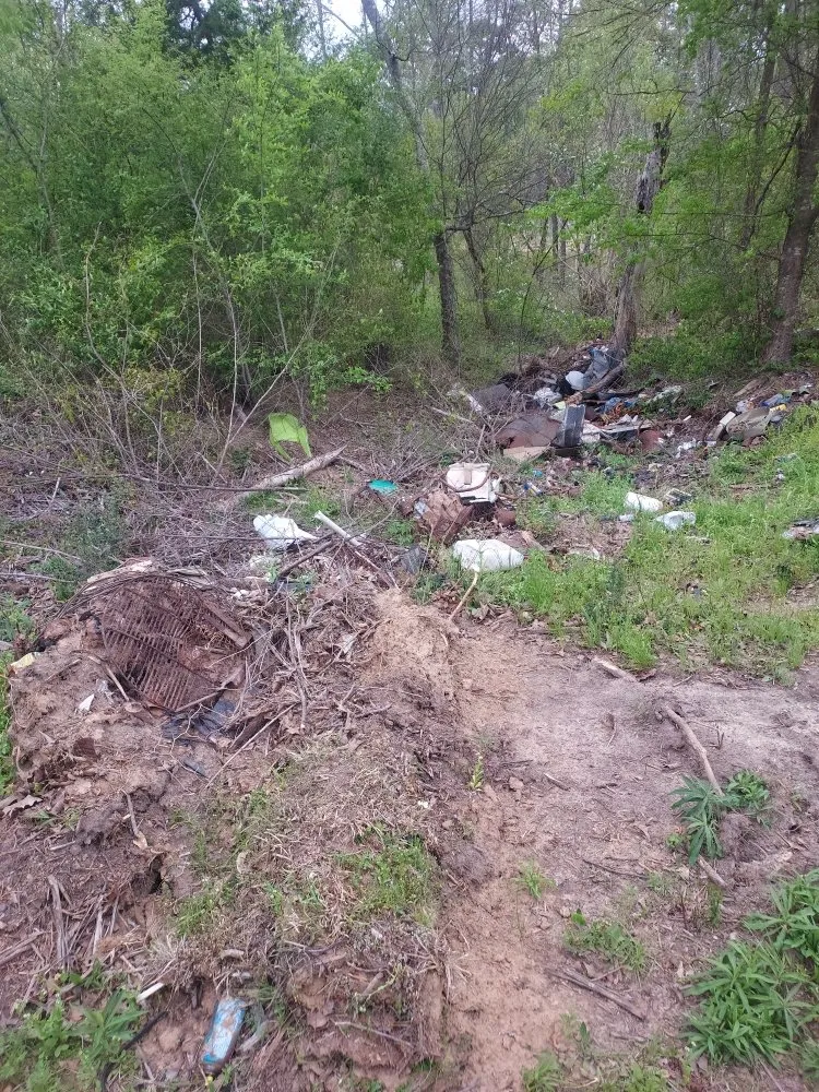 Affordable lawn care service in Arp, TX by Service Done Right