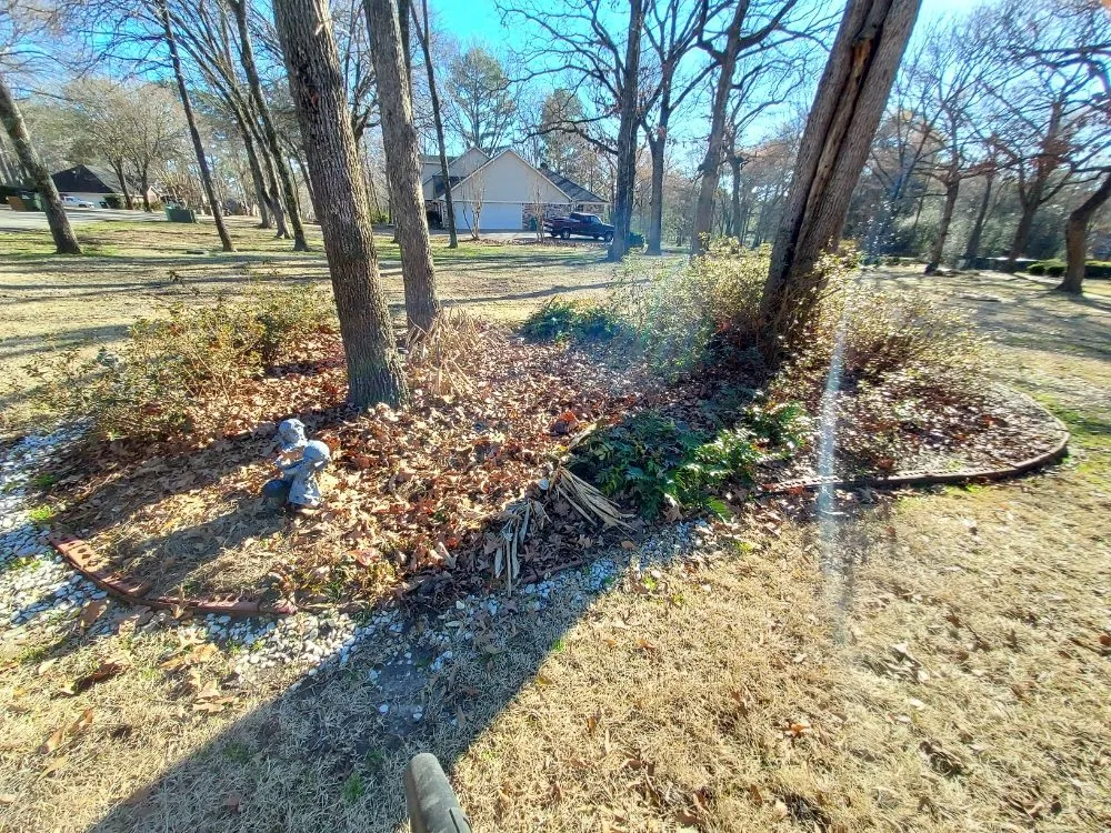 Professional landscape installation in Arp, TX by Service Done Right