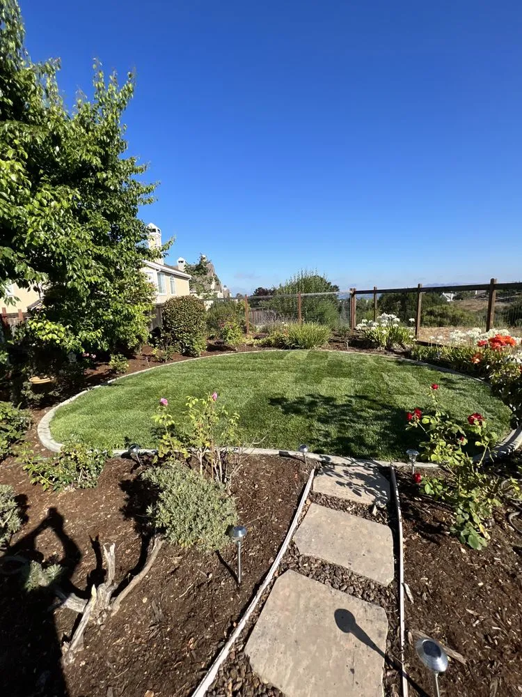 Local outdoor landscaping for year-round maintenance across San Leandro, CA - Service Felix