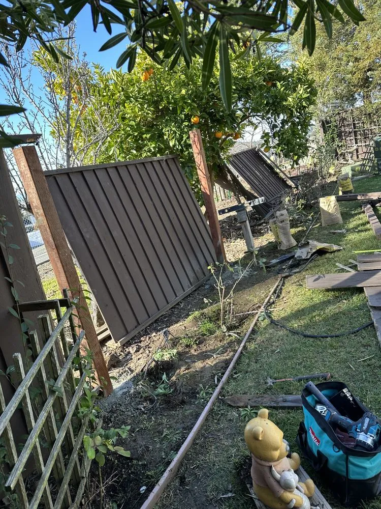 Custom lawn care service experts serving San Leandro, CA - Service Felix