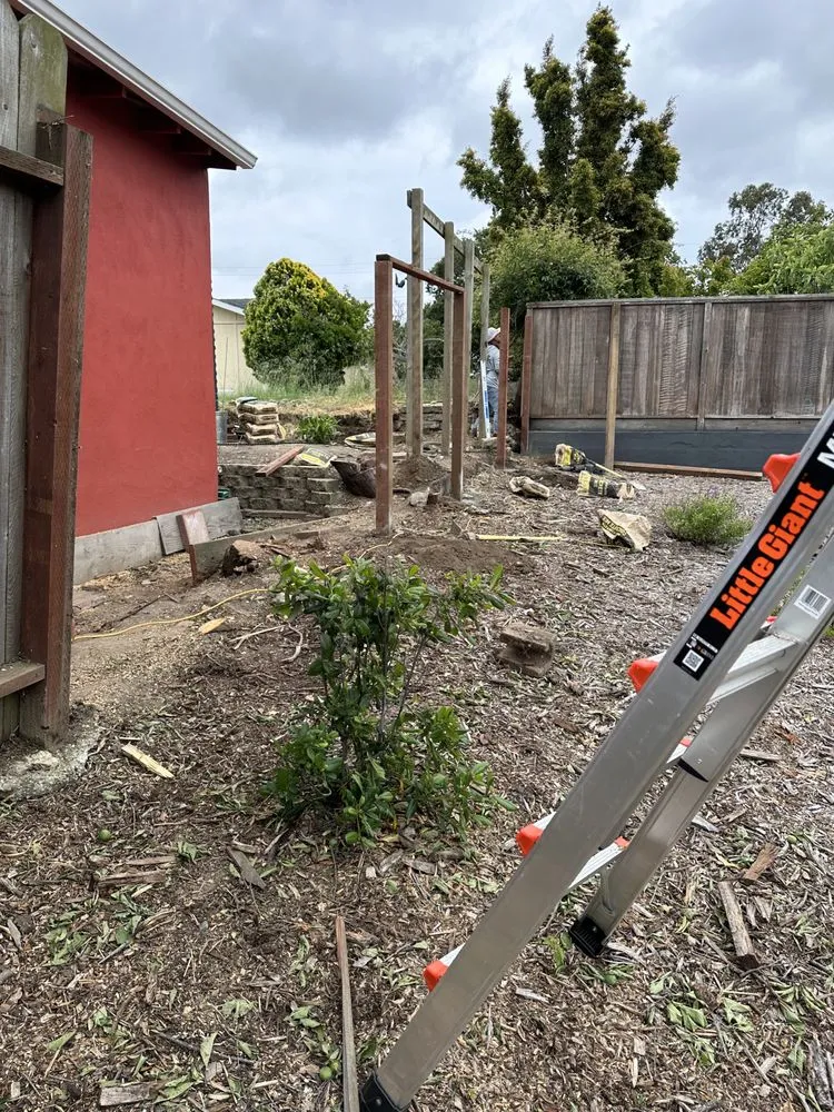 Custom yard maintenance in San Leandro, CA by Service Felix