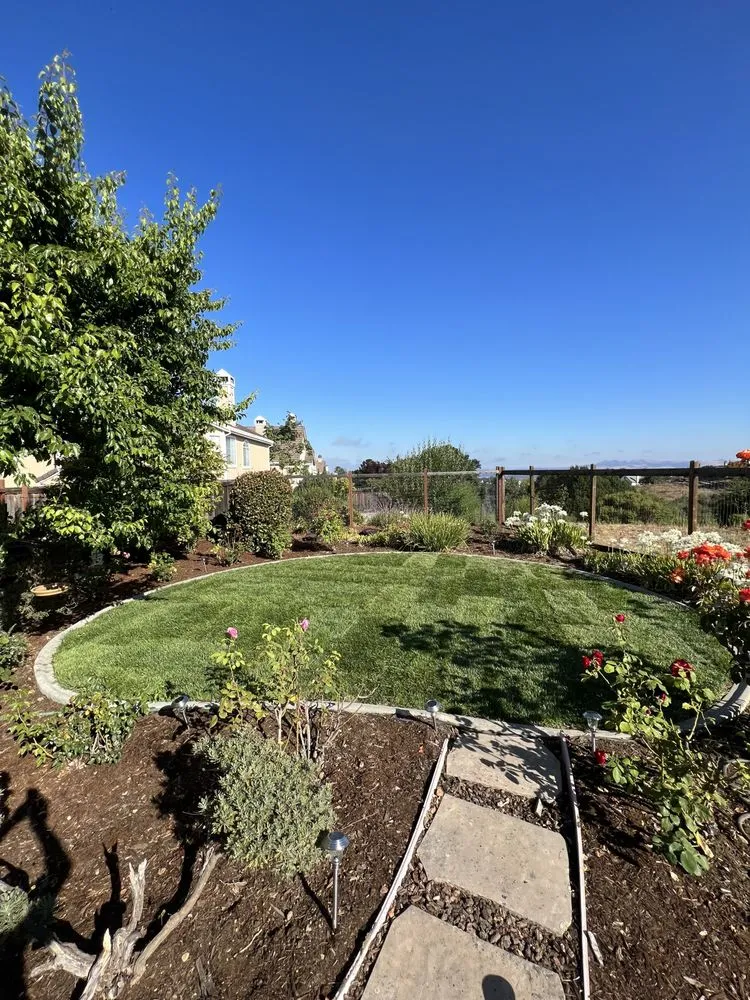 Local yard cleanup service for residential properties across San Leandro, CA - Service Felix