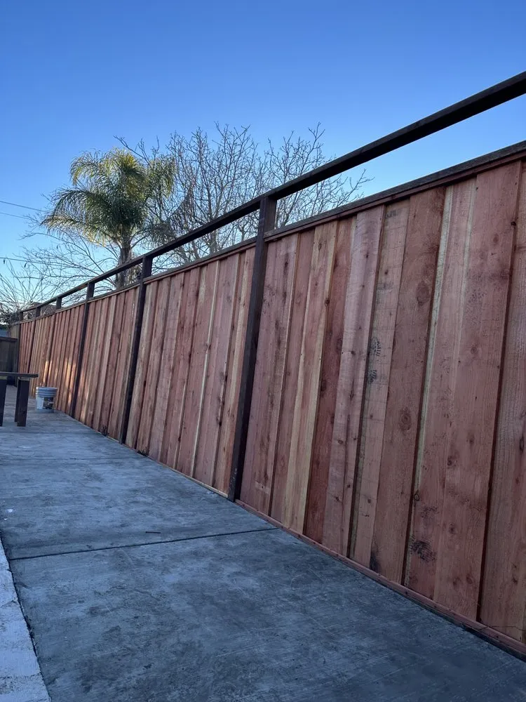 Trusted yard cleanup service experts serving San Leandro, CA - Service Felix