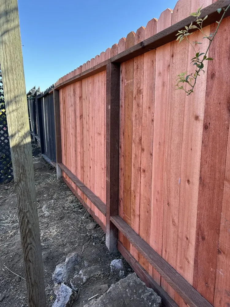 Local yard cleanup service for year-round maintenance across San Leandro, CA - Service Felix